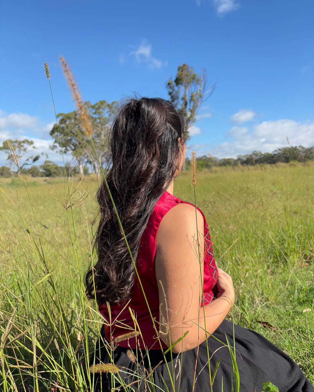 Back view of the red embroidered crop top